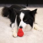 Игрушка для собак Treats Dispenser-M — изображение 5